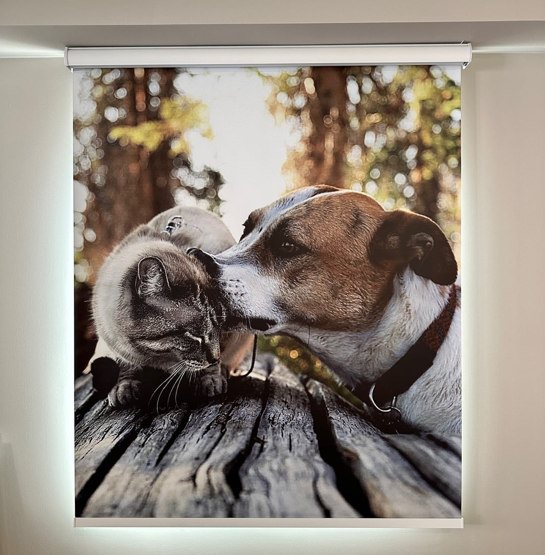 Transform Your Blinds with Family Photos and Pet Portraits!