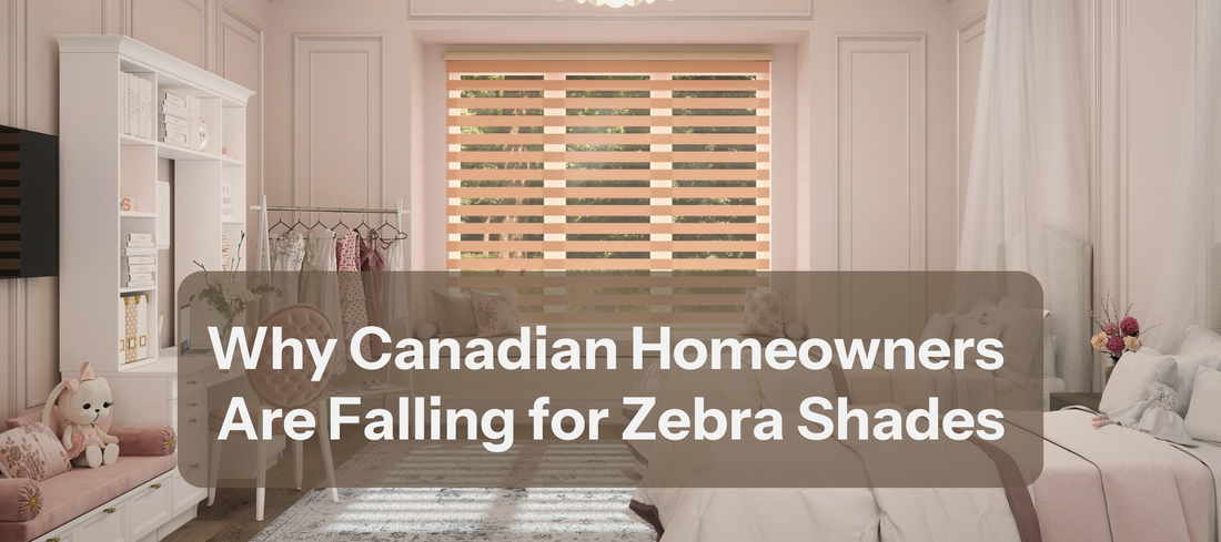 Why Canadian Homeowners Are Falling for Zebra Shades