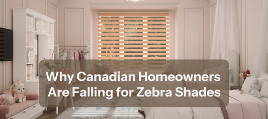 Why Canadian Homeowners Are Falling for Zebra Shades