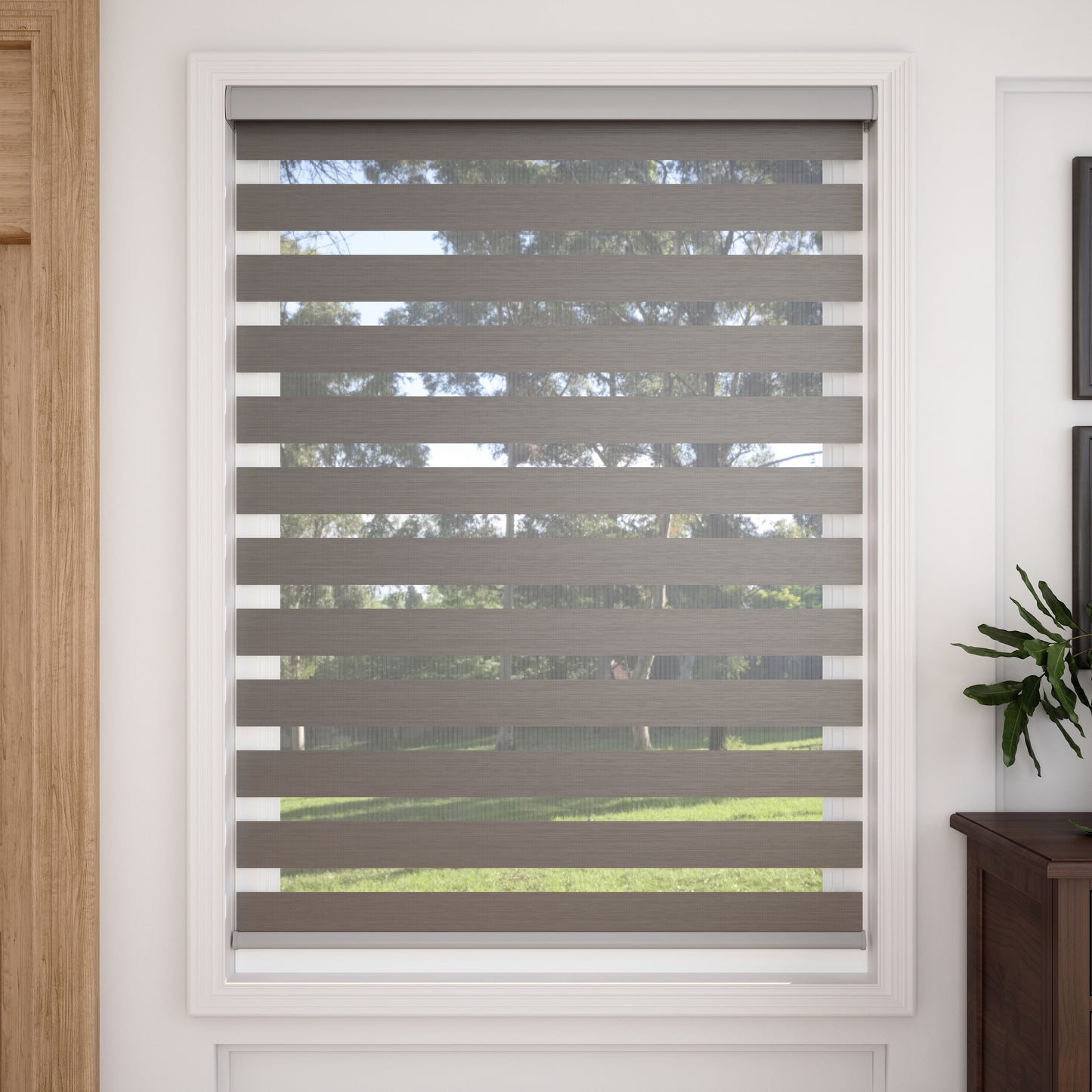 Finn - 70% Light Filtering Zebra Blinds